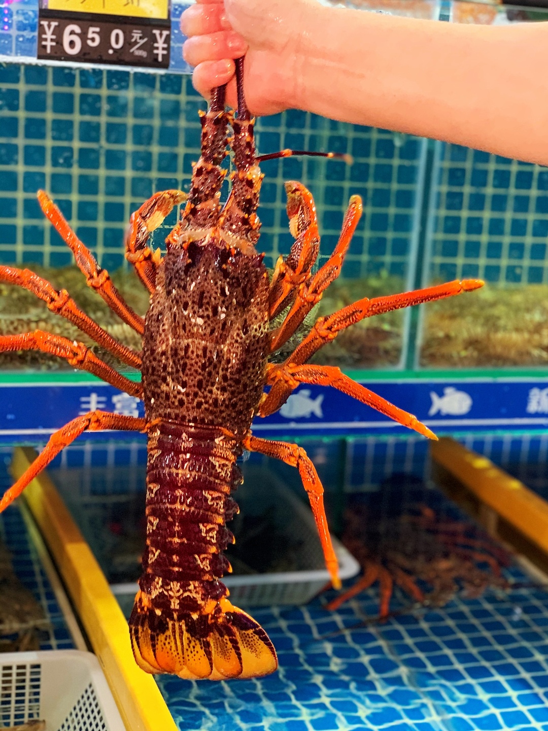 30年老厨师毫不保留教你做香辣酱,30年的老厨师教做新疆大盘鸡