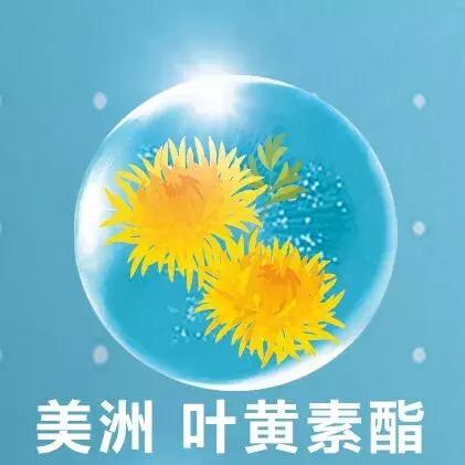 老年人眼睛干涩酸胀？可以用这4个方法来缓解视疲劳