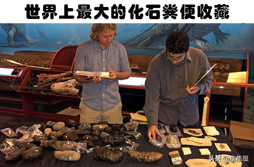 看不懂的艺术画展览,看不懂的艺术叫什么