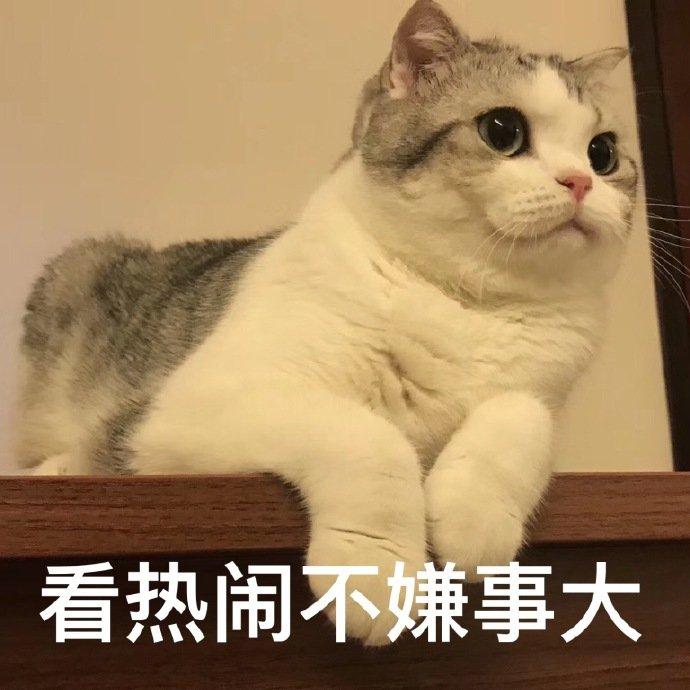 开心一刻gif下雨天,搞笑gif笑到肚子疼意外瞬间特辑