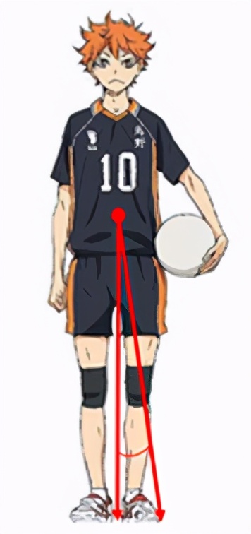 排球基本技战术分析,排球的基本技术和战术