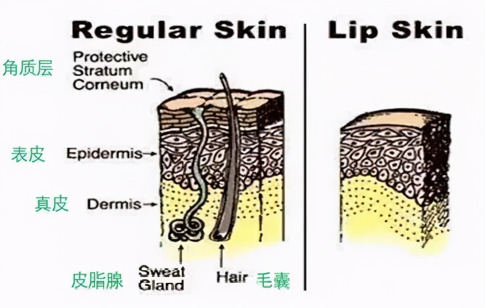 纹绣时眉头处理方法,纹绣过程红肿怎么办