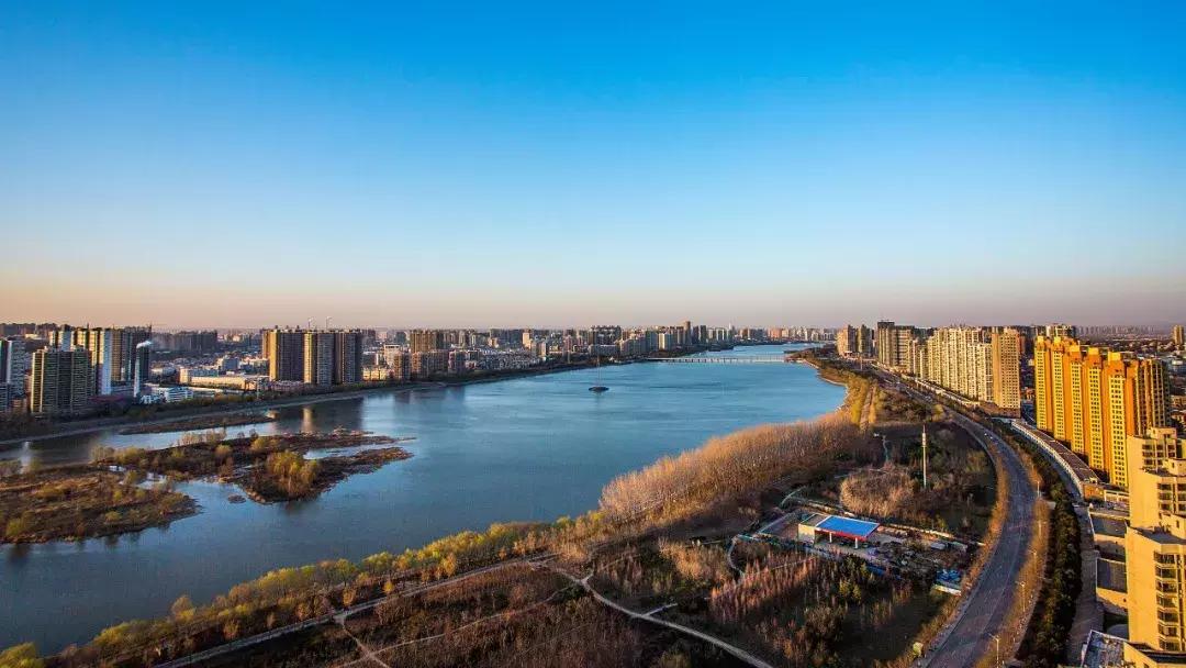 洛阳牡丹花会邀请,洛阳邀请全世界人民看牡丹