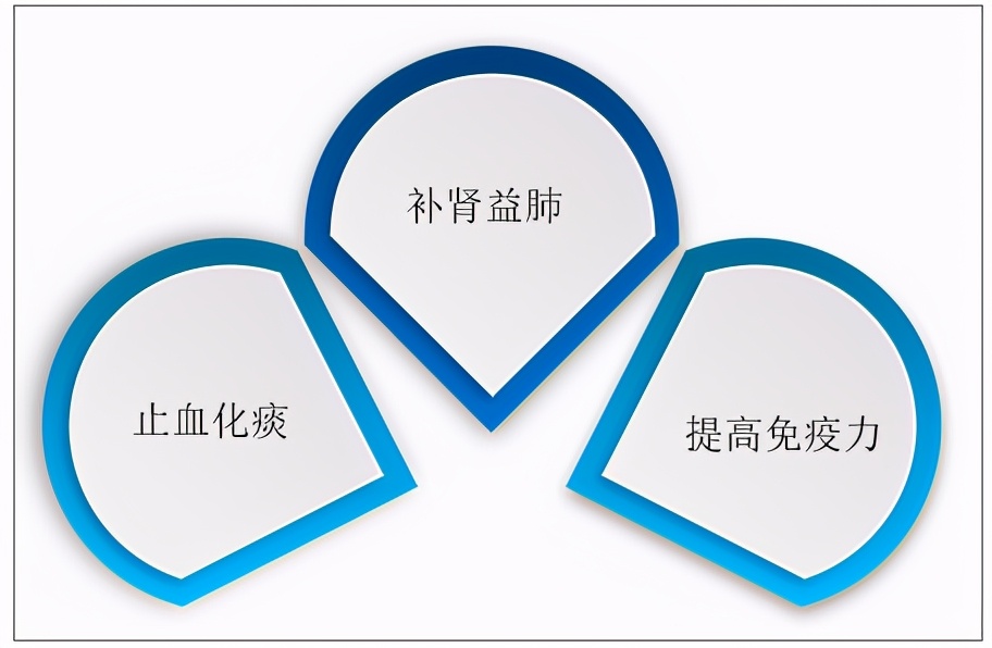 冬虫夏草市场前景怎么样,国内冬虫夏草供应链