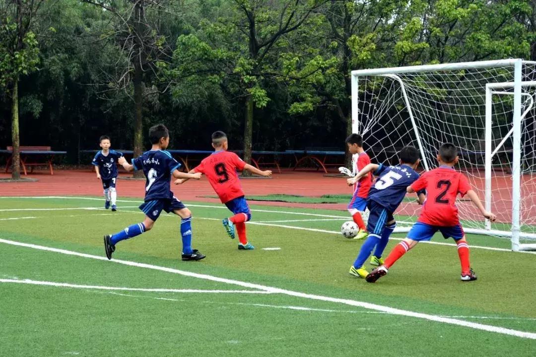 清华教授培养普通人,清华教授教育孩子方法