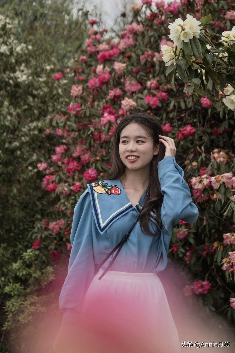 百里杜鹃花开如海,百里杜鹃百里盛开