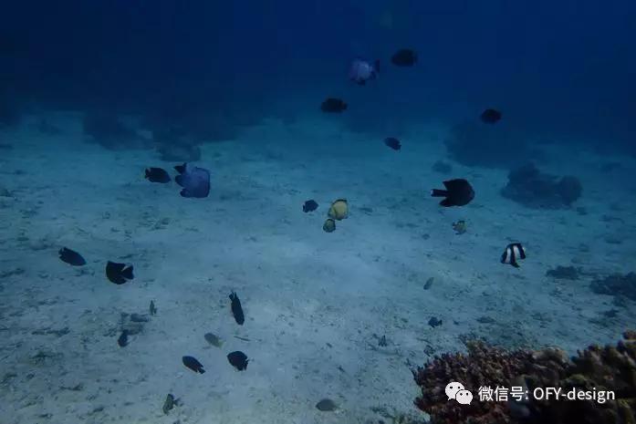 云在海在岁月在-欧菲·艺烁团队长滩岛自由行