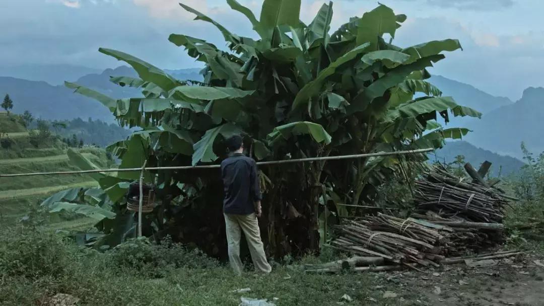 贵州：从今天起，你无法将我遗忘