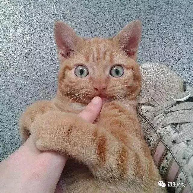 4次试管婴儿失败的女人,试管婴儿2次失败