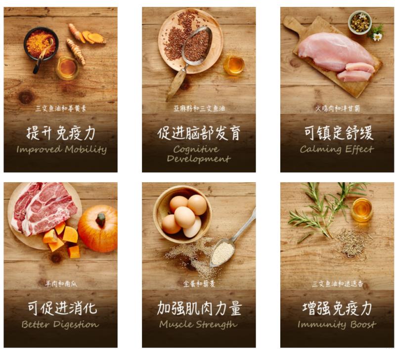 纽顿猫粮跟皇家哪个好,纽顿猫粮鸡肉猫粮颜色