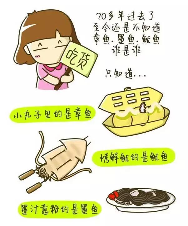 章鱼鱿鱼乌贼傻傻分不清,章鱼鱿鱼乌贼这三样有什么区别