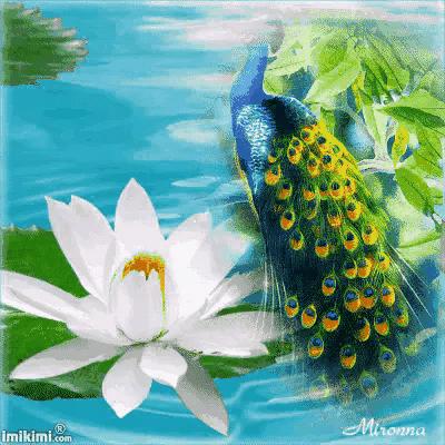 会动的图片100个,会动的10张图片