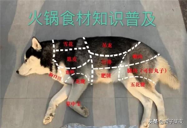 狗肉为什么这么多人喜欢,狗肉吃起来特别好吃