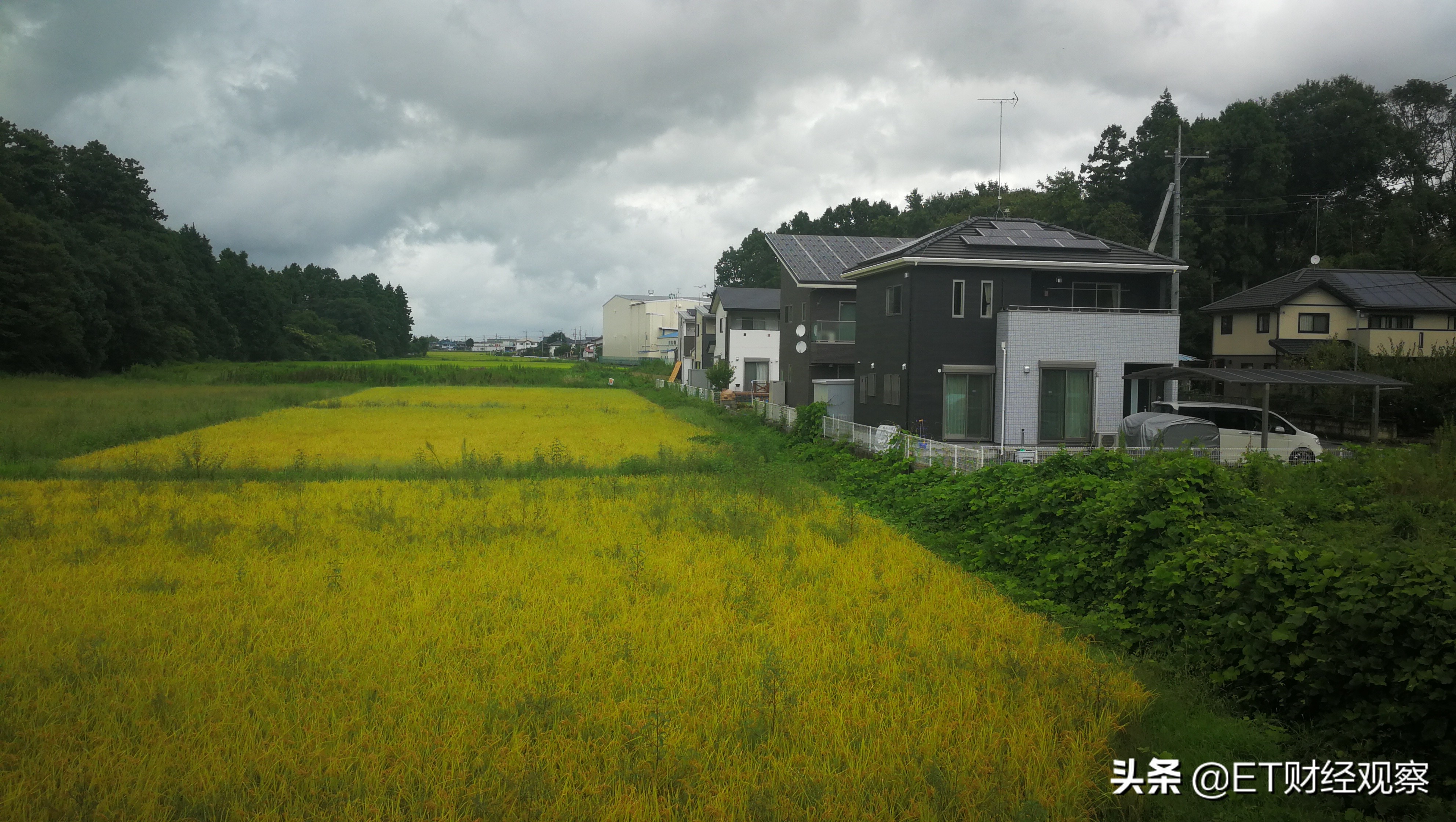 日本企业创新的启示,全球独角兽500强中国企业