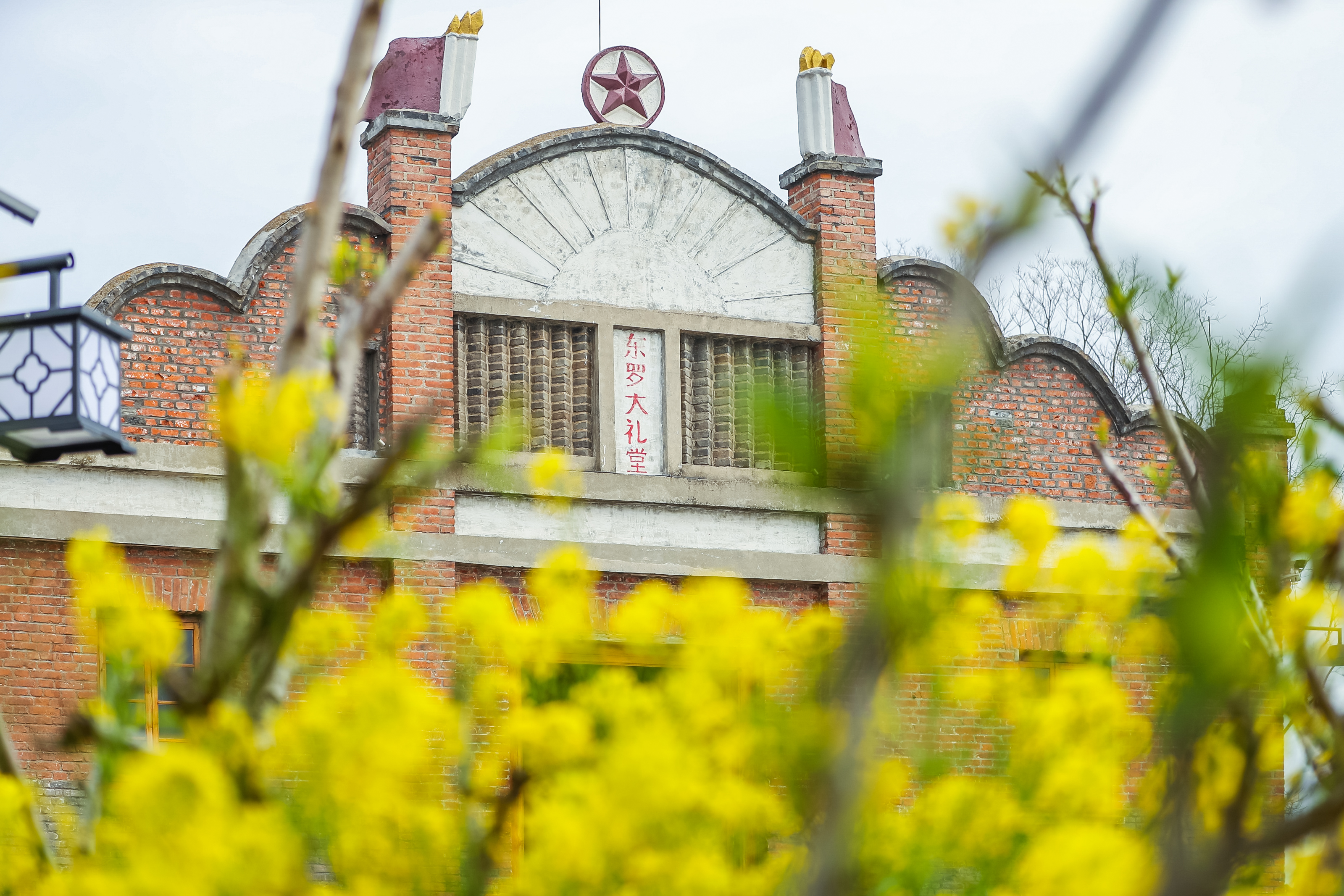 兴化看油菜花一日游,兴化千亩油菜花旅游