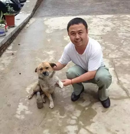 狗欢欢玩滑板,狗欢欢和猫小宝