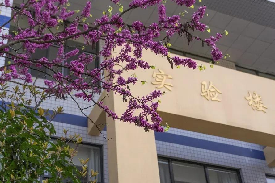 安徽省高校合肥理工,安徽省二类本科公办大学