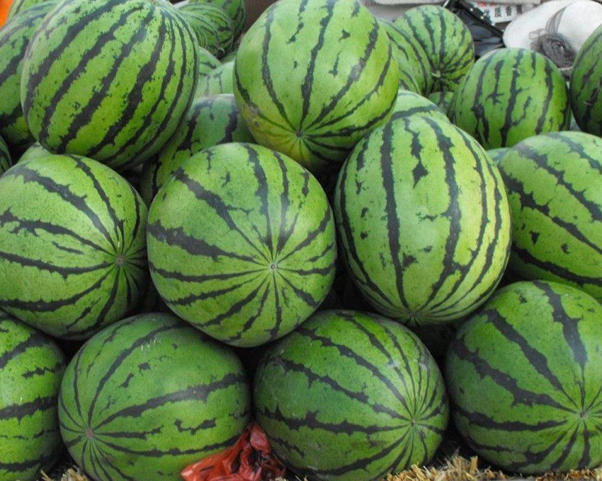 夏日消暑诗词每一句都很清凉,三伏天在诗词里消暑纳凉