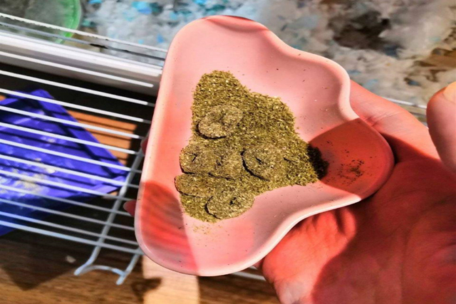 如何给仓鼠做磨牙棒无五谷粉,仓鼠用什么东西能做磨牙棒更省钱