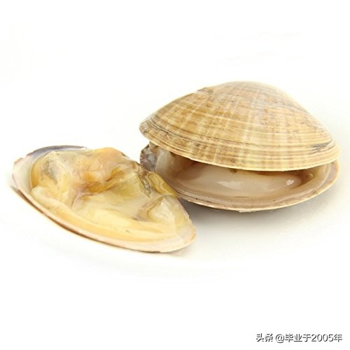 大连海鲜吃货,大连海鲜的种类