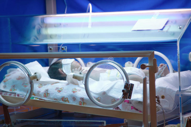 是不是要地震,是不是要备战了