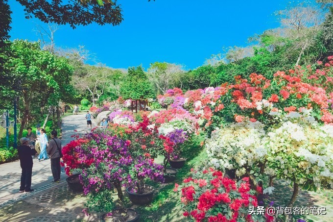 进出景区排队3个小时,岛上物价高上天,这的游客还是多的挤破头