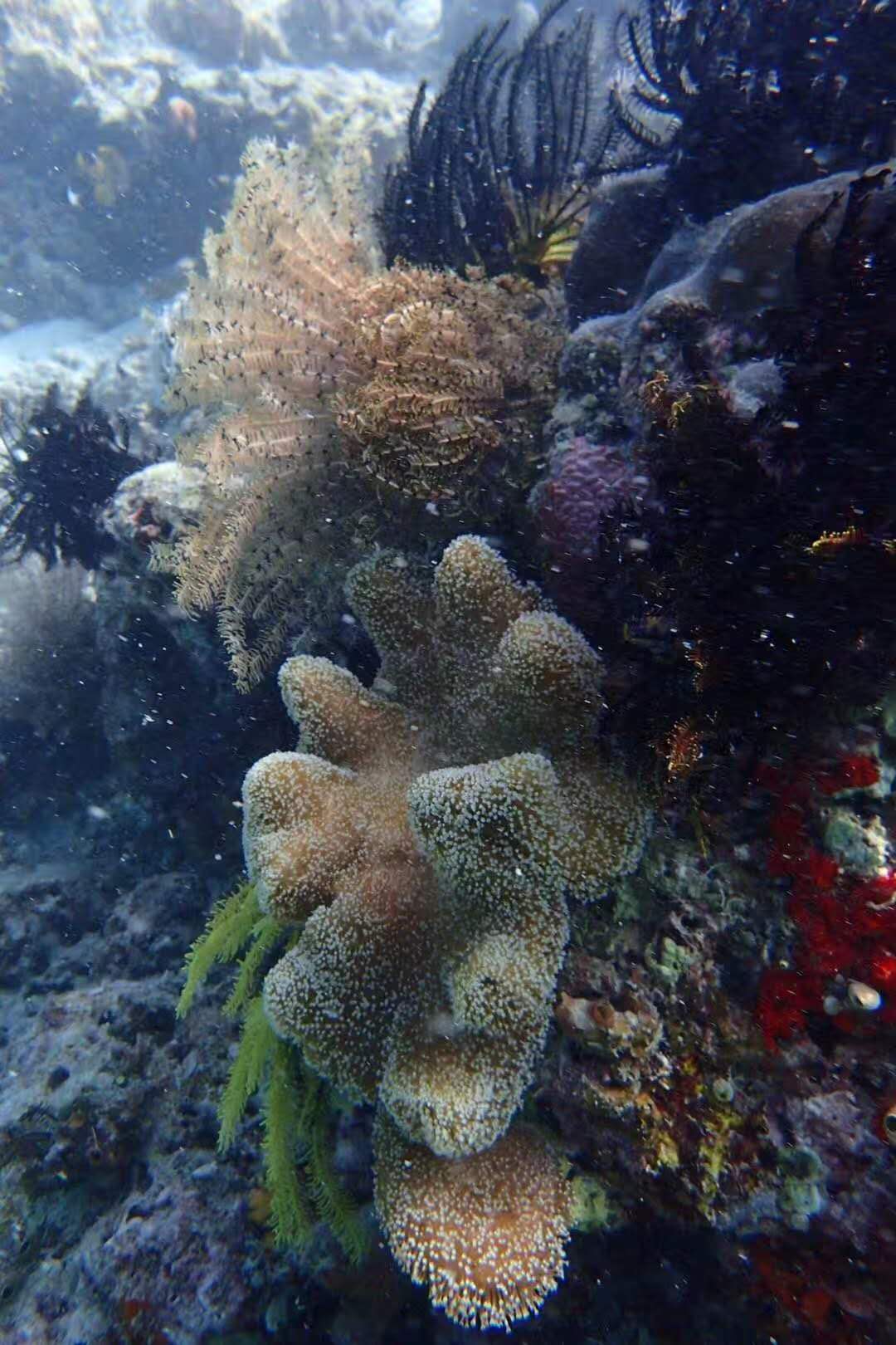 2018马来西亚之旅留影,2019回眸