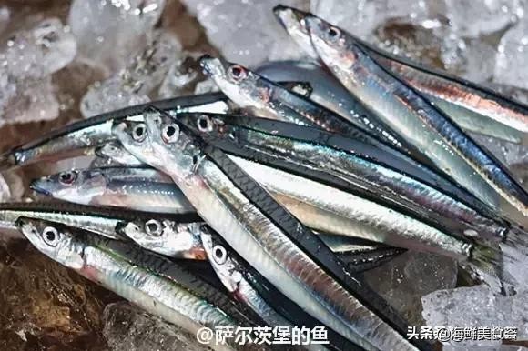 32种经典寿司做法视频,寿司常用的鱼