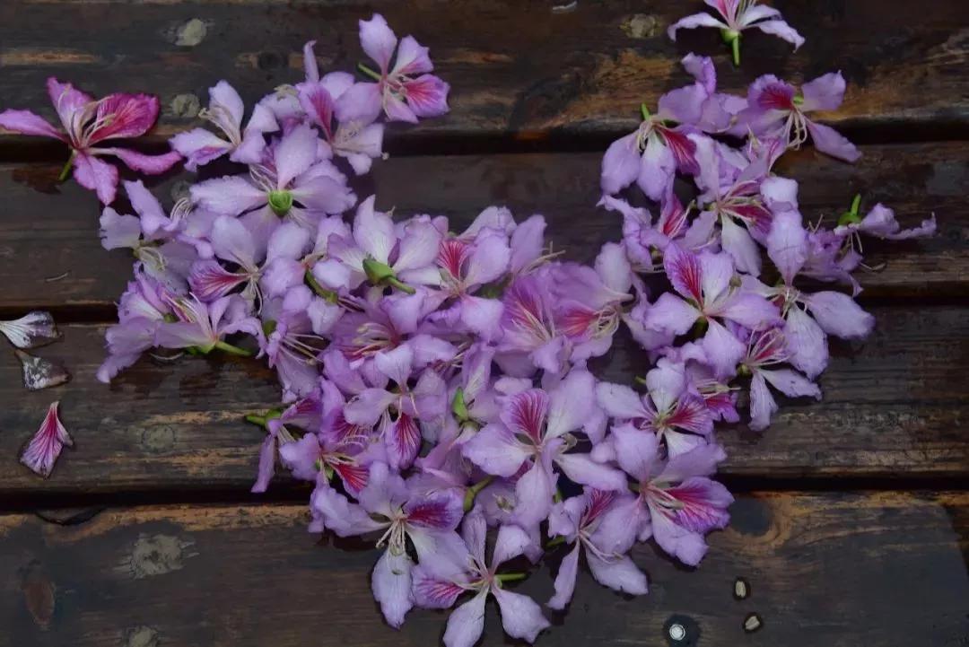 退休后就去国内旅游,退休后必去的100个景点