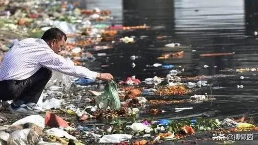 号称是病毒“死胡同”的秃鹰，胃酸可腐蚀金属，却也难逃人类毒手