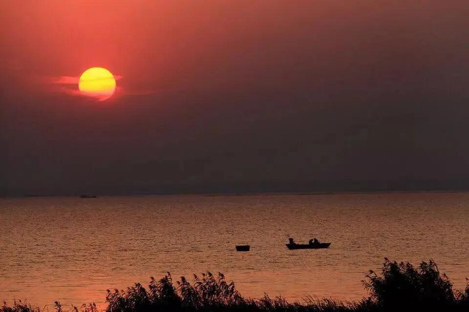 合肥春节免费景点一览表,合肥网红免费打卡景点