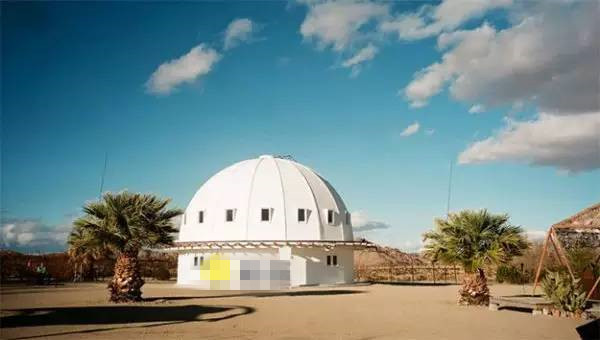 他们抢劫老妈、用锡箔包房子、修建时光机，还说受了外星人指使