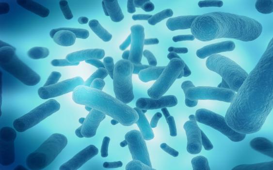 男性不育检查染色体,男性检查不育要多少钱