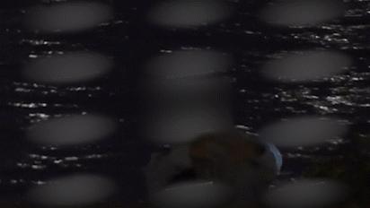 张杰谢娜现在的婚姻状态,张杰谢娜现在婚姻状况这是真的吗