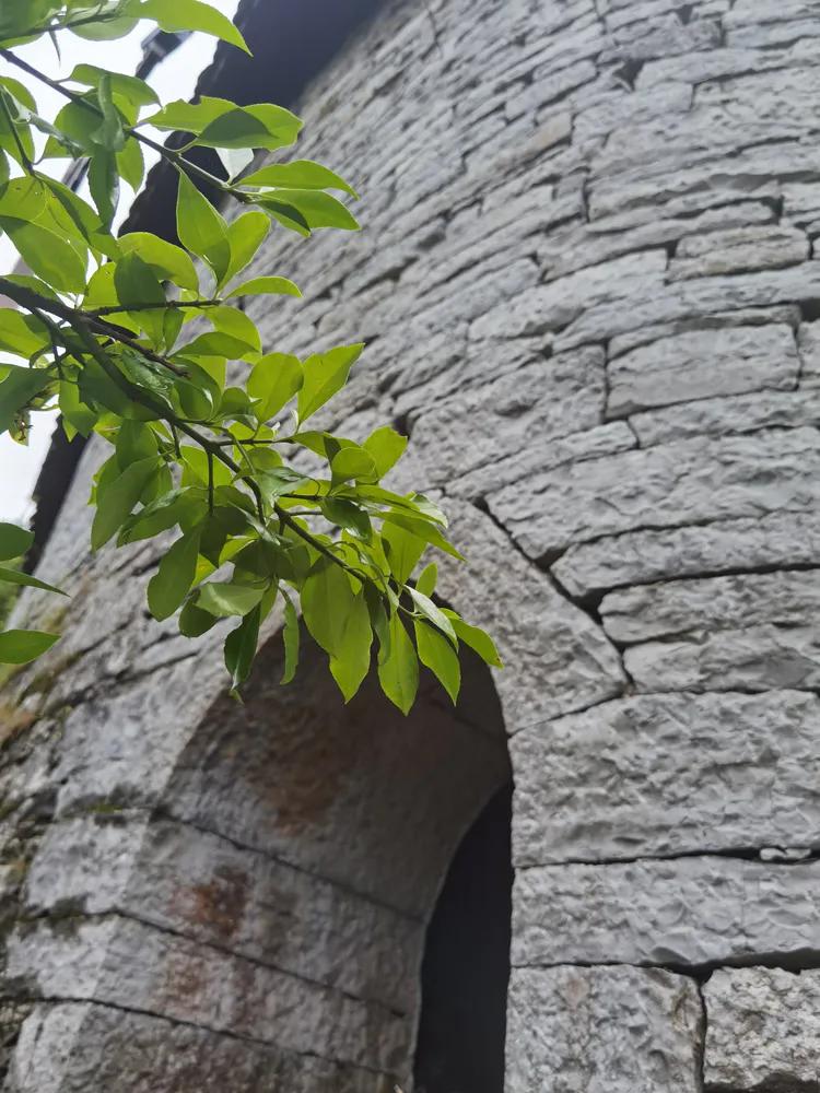 黔南第一山在什么地方,黔南第一山在哪里