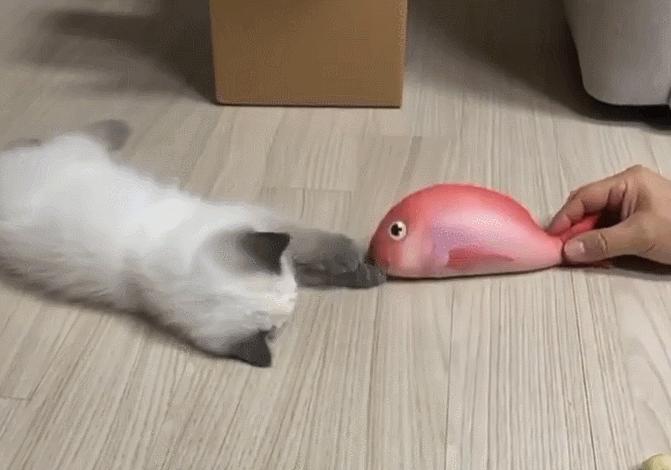 煤老板爆红完整版,煤老板ins