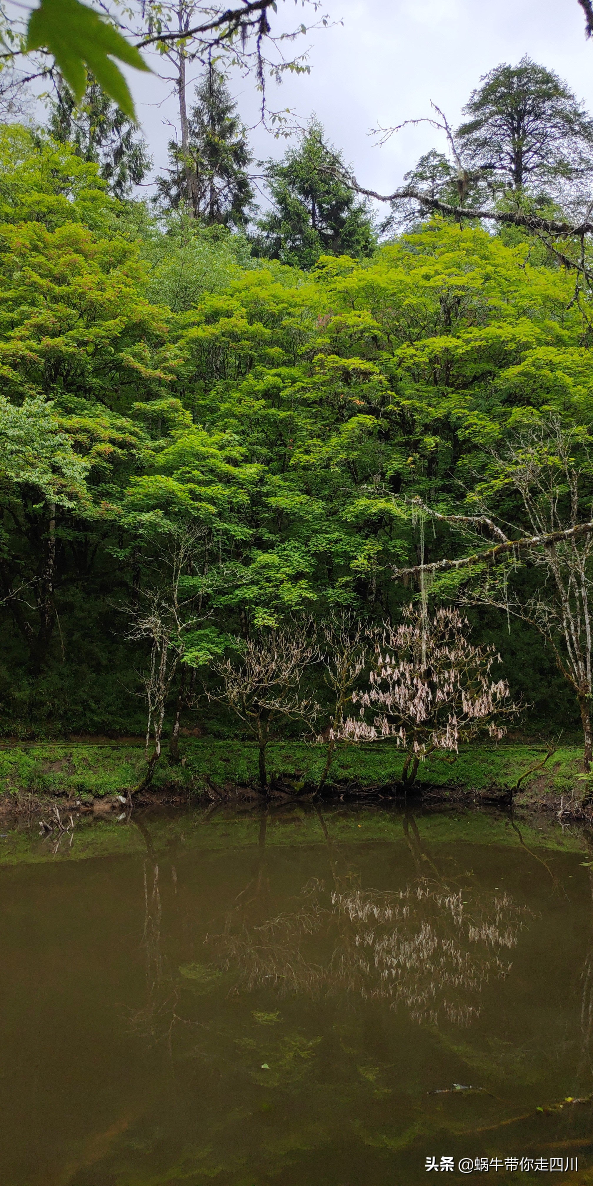 带小朋友出去看小动物,带小孩去海洋动物园