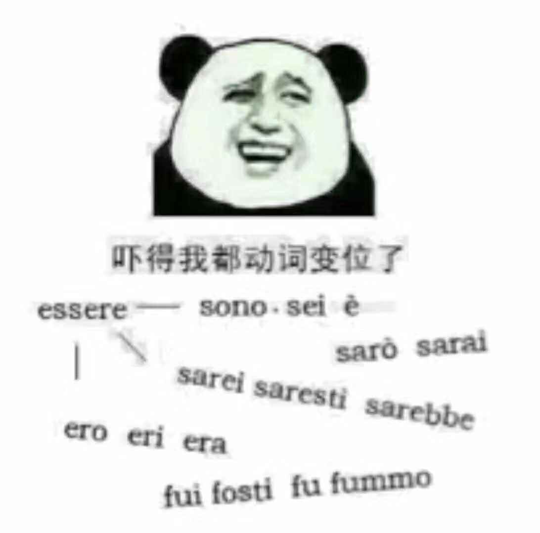 如何学好意大利发音,如何学好意大利语