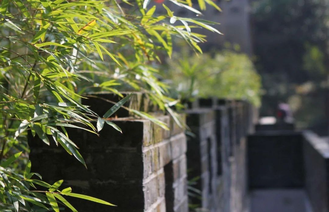 葫芦里卖的什么药出自哪里,葫芦里卖的什么药典故