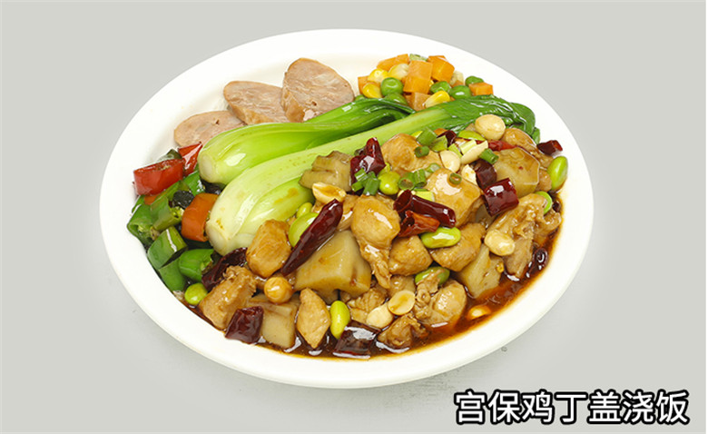 特别有食欲的盖浇饭,非常好吃的盖饭你看着有食欲吗