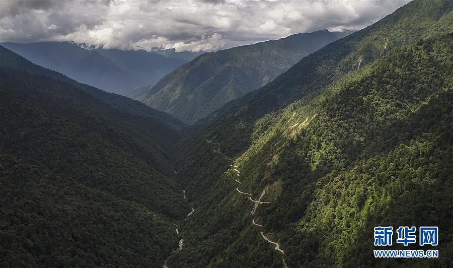 见证了脱贫攻坚的历史,脱贫攻坚书写历史