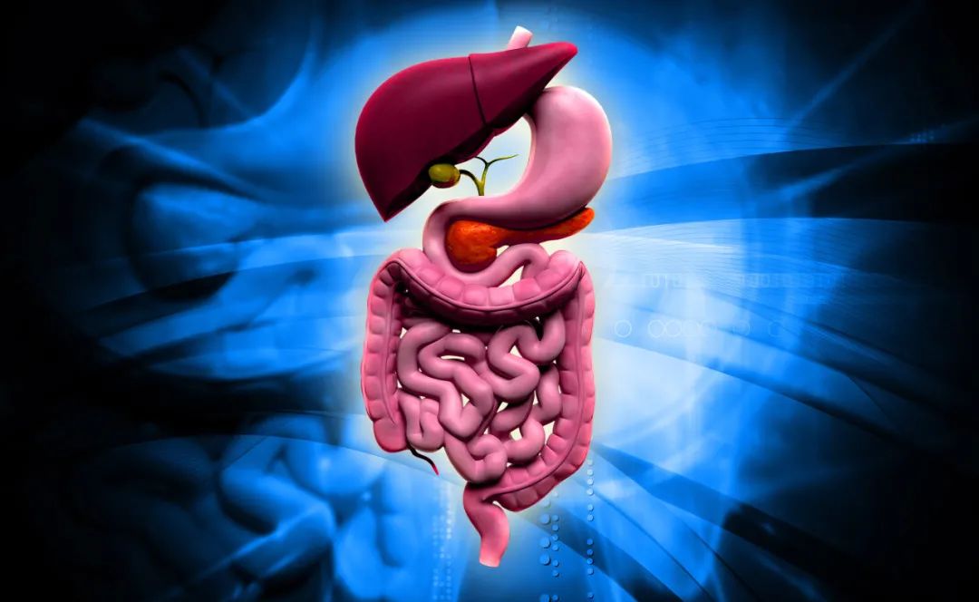 全球的益生菌菌种排名,全球益生菌测评