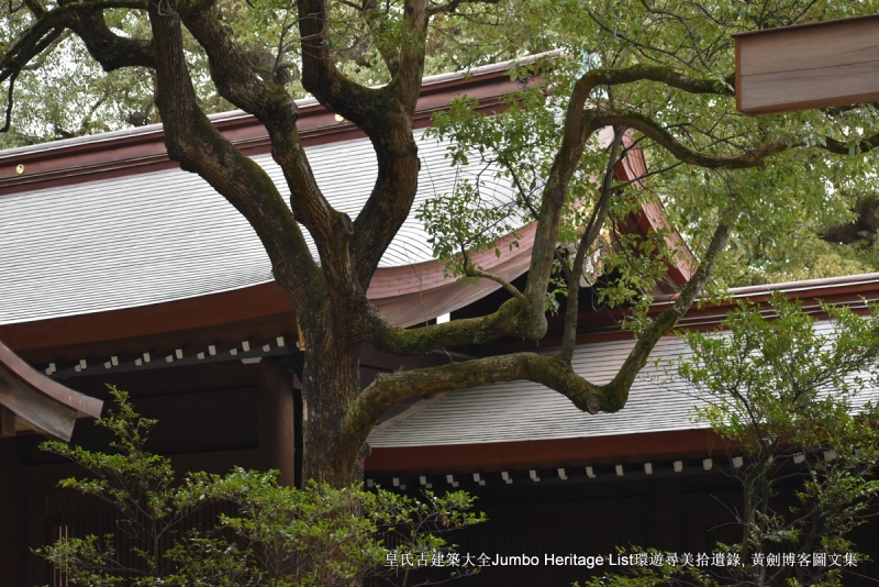 第1011回：世界第一高晴空塔，明治神宫安座百年