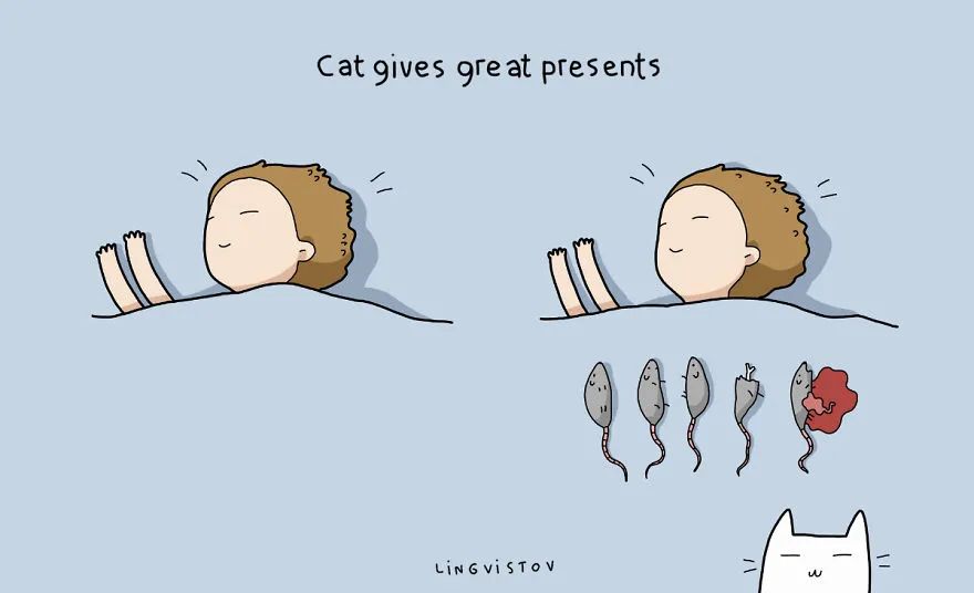 100张可爱猫咪图,超可爱的猫咪画法