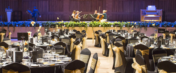 英国经典大学,英国的斯旺西大学排名