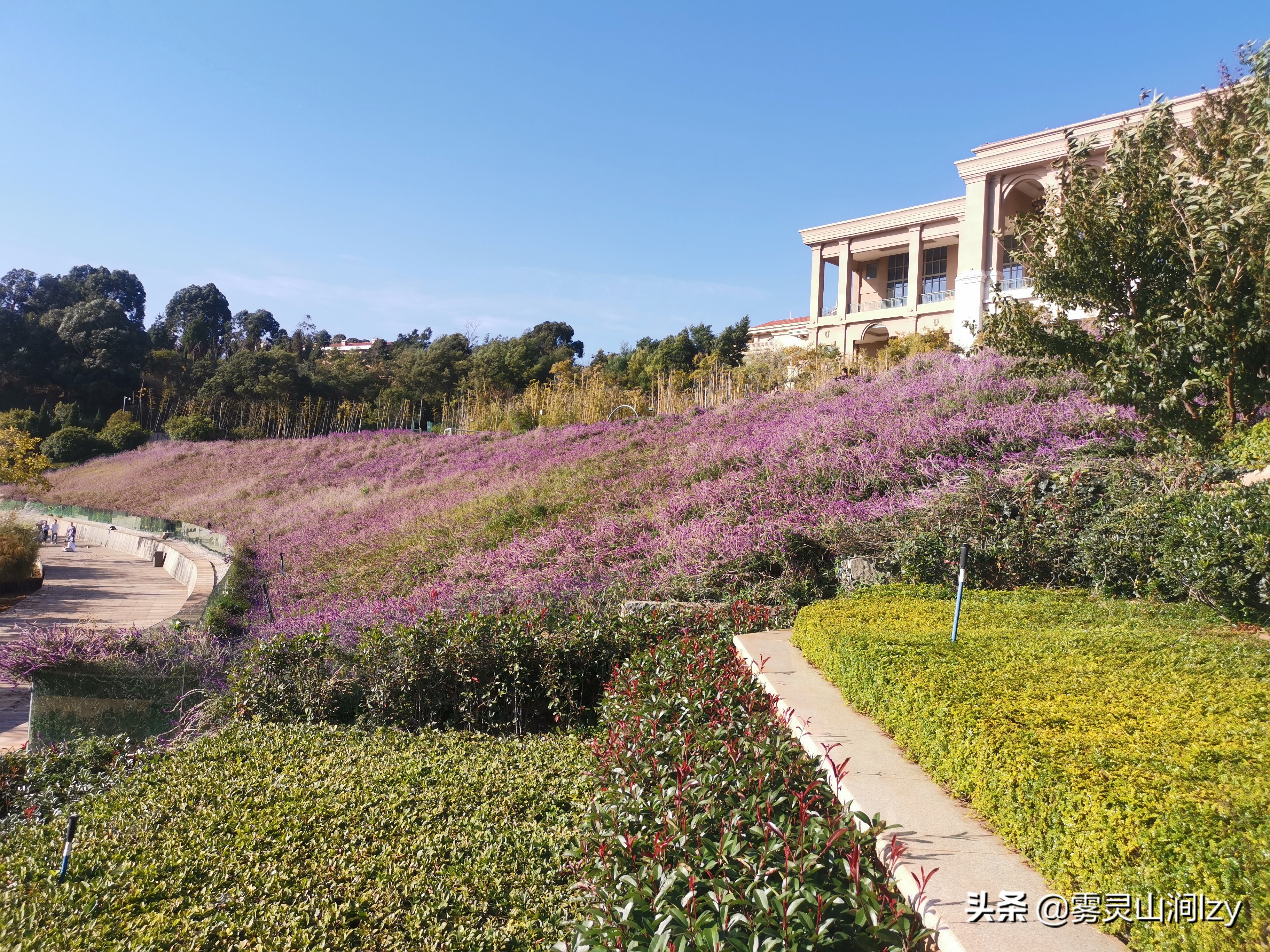 全国希尔顿一览,全中国度假酒店