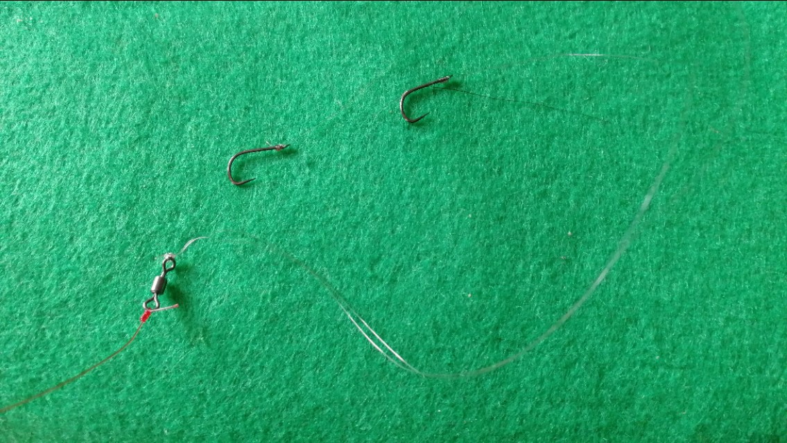 浮漂有口不浮,浮漂有口无鱼是什么原因