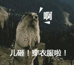 腿毛长不用穿秋裤,腿毛太长冬天穿秋裤简直就是噩梦