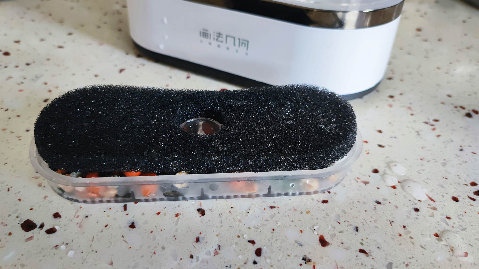 透明小型鱼缸可以养鱼吗,小型鱼缸养鱼知识