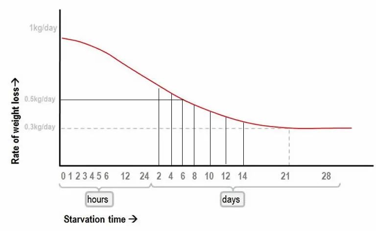 一天瘦了一斤多正常吗,体重一天瘦一斤正常吗